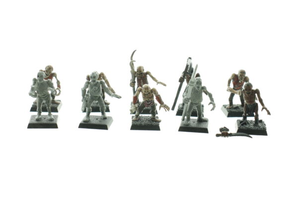 Warhammer Fantasy Undead Zombies