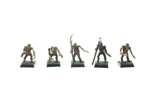 Warhammer Fantasy Undead Zombies