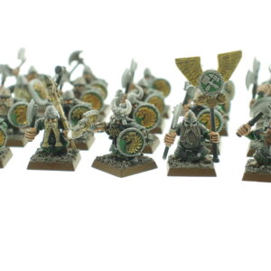 Dwarf Warriors Regiment