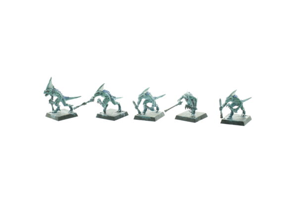 Lizardmen Skinks