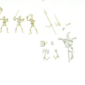 Warhammer Fantasy Undead Skeleton Warriors Regiment