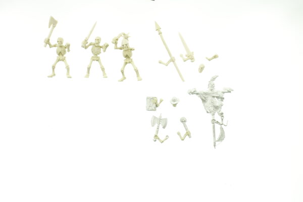 Warhammer Fantasy Undead Skeleton Warriors Regiment