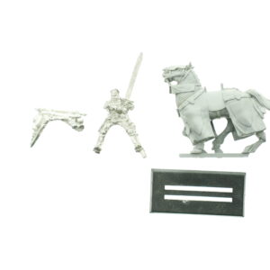 Warhammer Fantasy Bretonnia Questing Knight Blister Variant