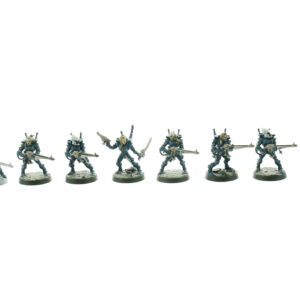 Eldar Female Guardians