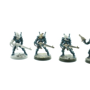 Eldar Female Guardians