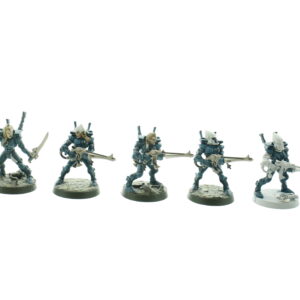 Eldar Female Guardians