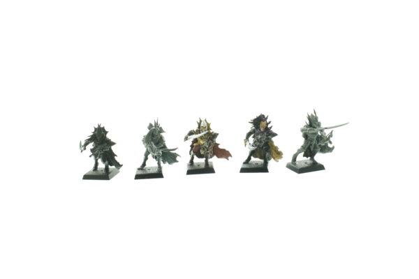 Dark Elf Black Ark Corsairs