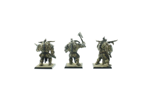 Beastmen Mintoaurs