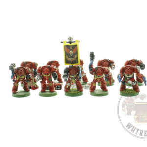 Classic Blood Angels Terminators