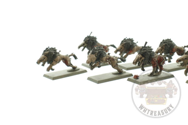 Vampire Counts Dire Wolves