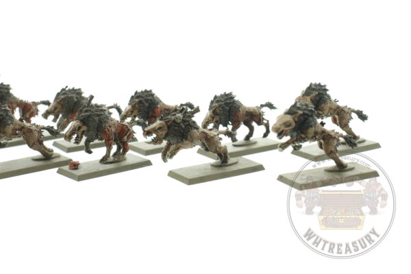 Vampire Counts Dire Wolves