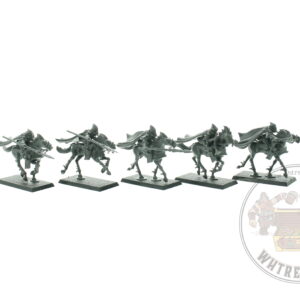 Dark Elves Dark Riders