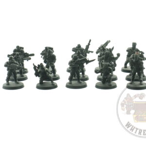 Cadian Troops