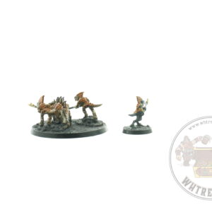 Seraphon Salamander Hunting Pack