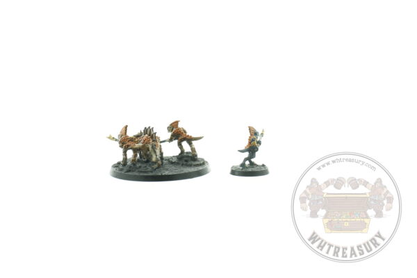 Seraphon Salamander Hunting Pack