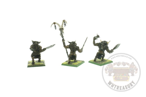 Beastmen Minotaurs