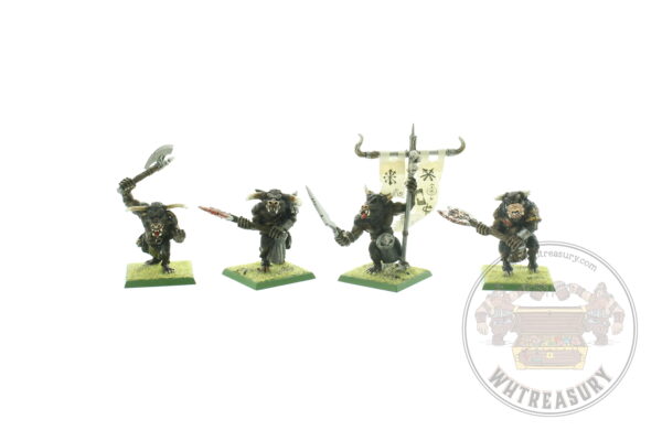 Beastmen Minotaurs