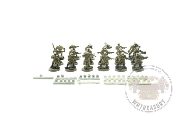 Imperial Guard Tallarn Desert Raiders