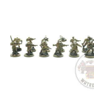 Imperial Guard Tallarn Desert Raiders