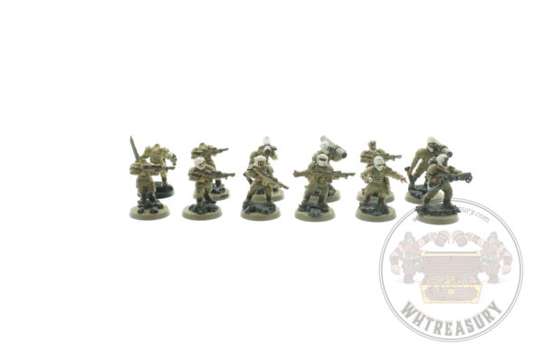 Imperial Guard Tallarn Desert Raiders