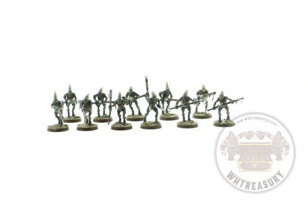 Kroot Carnivores