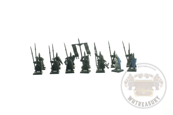 High Elf Warriors Regiment