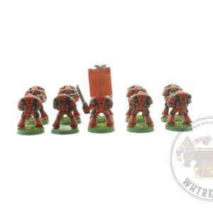 Classic Blood Angels Tactical Squad