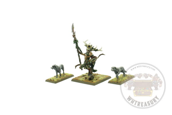 Wood Elves King Orion