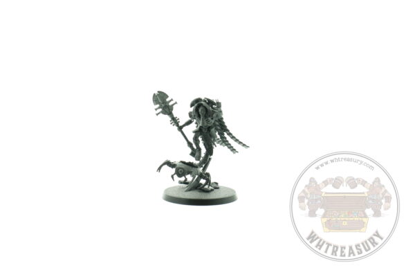 Necron Cryptek