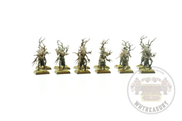 Wood Elf Dryads