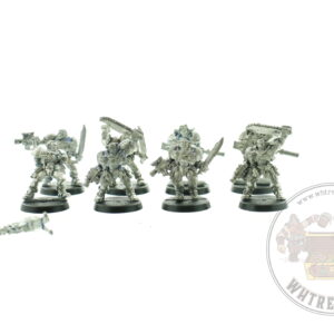Space Marine Scouts