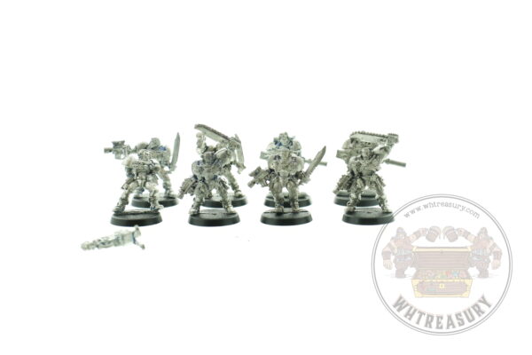 Space Marine Scouts