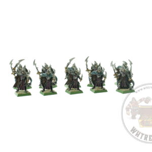 Dark Elf Corsairs