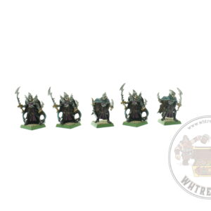 Dark Elf Corsairs