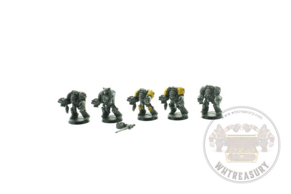 Space Wolf Guard Terminators