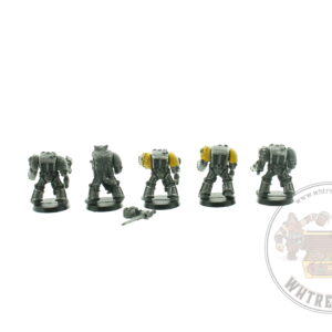 Space Wolf Guard Terminators