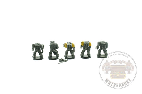 Space Wolf Guard Terminators