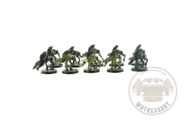 Tau Empire Kroot Hounds