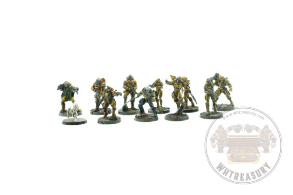 Infinity Corvus Belli Invincible Army Action Pack