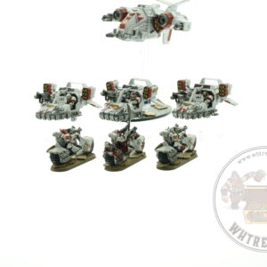 White Scars Fast Attack Force