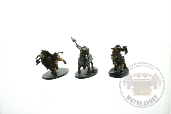 Chaos Dwarf Bull Centaurs