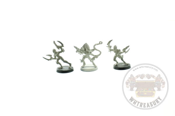 Dark Eldar Sybarite & Mandrakes