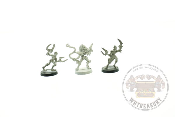 Dark Eldar Sybarite & Mandrakes