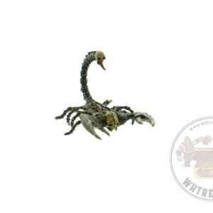 Tomb Kings Scorpion