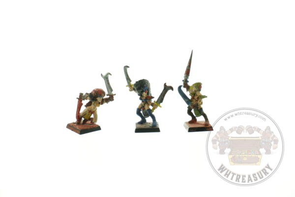 Marauder Witch Elves