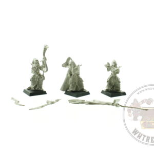 Dark Elf Executioners Command