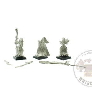 Dark Elf Executioners Command