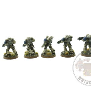 Primaris Intercessors