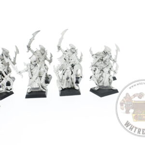 Dark Elf Corsairs