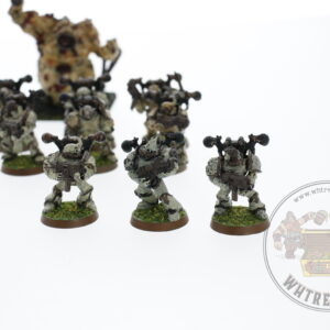 Warhammer 40.000 Chaos Nurgle Army